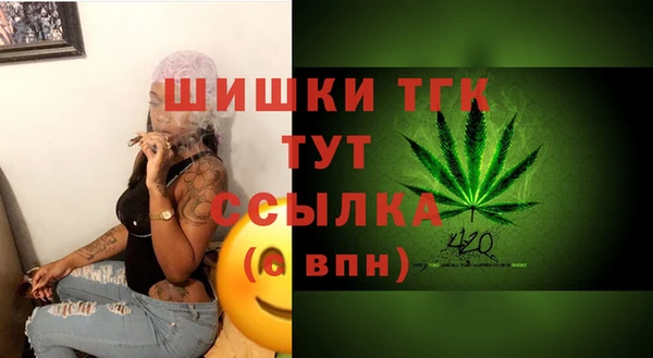 гашик Медвежьегорск