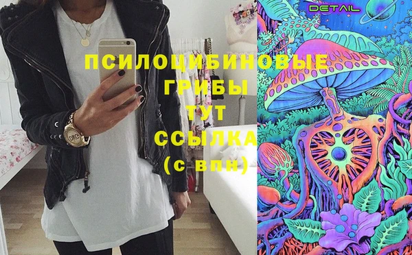 гашик Медвежьегорск
