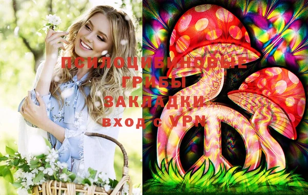 хмурый Мегион