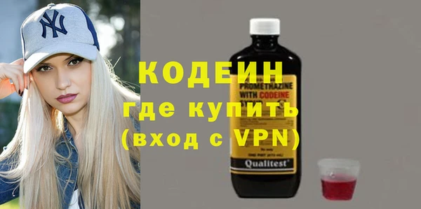 хмурый Мегион