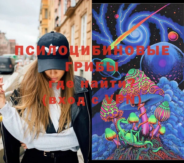хмурый Мегион
