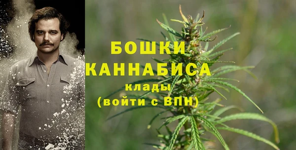 гашик Медвежьегорск