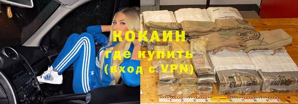 хмурый Мегион