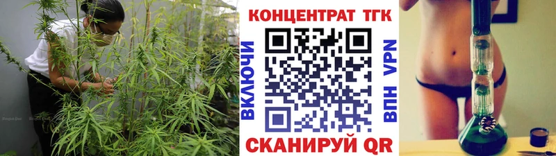 ТГК концентрат  цены   Олонец 